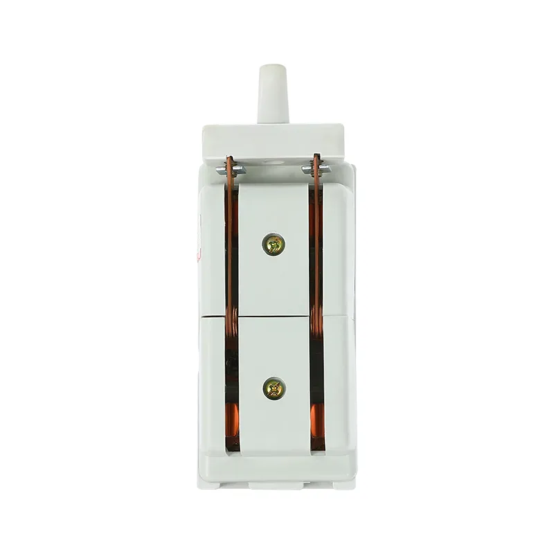 HS11F-100/28 Mistake Free Knife Switches