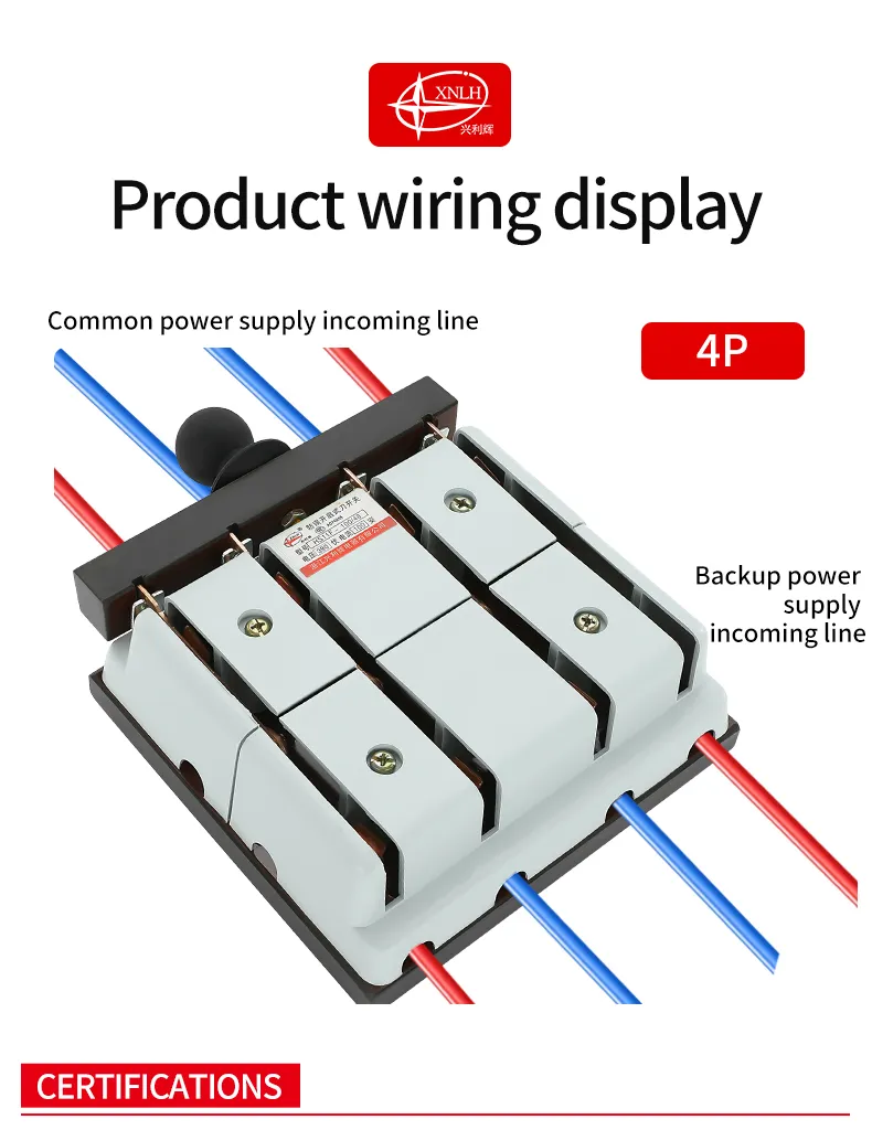 HS11F-100/48 Mistake Free Knife Switches